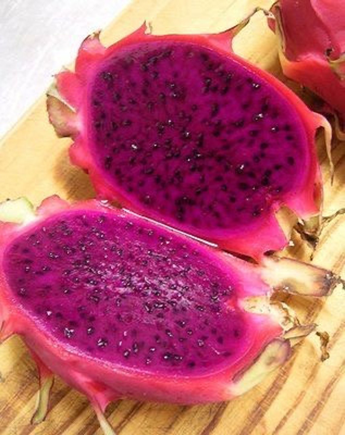 Dragon Fruit Cuttings Pitaya Plant Dragon Fruit Plant Pitahaya Etsy