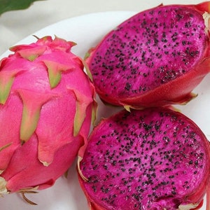 Puede incluir: Tres frutas de drag&oacute;n, una entera y dos cortadas por la mitad, mostrando la pulpa rosa y las semillas negras. La fruta est&aacute; en un plato blanco.