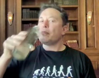 Evolution of Money T-Shirt - Crypto Bitcoin Elon Musk Tee - Trader Gifts