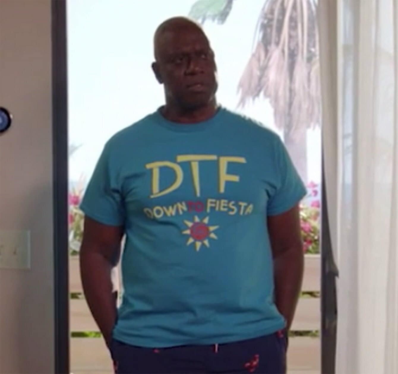 DTF T-shirt - Down to Fiesta Tshirt - Brooklyn 99 T Shirt - Summer Holiday  Mexico Vacation Tee - Funny Brooklyn Nine Nine Captain Holt Shirt - Etsy