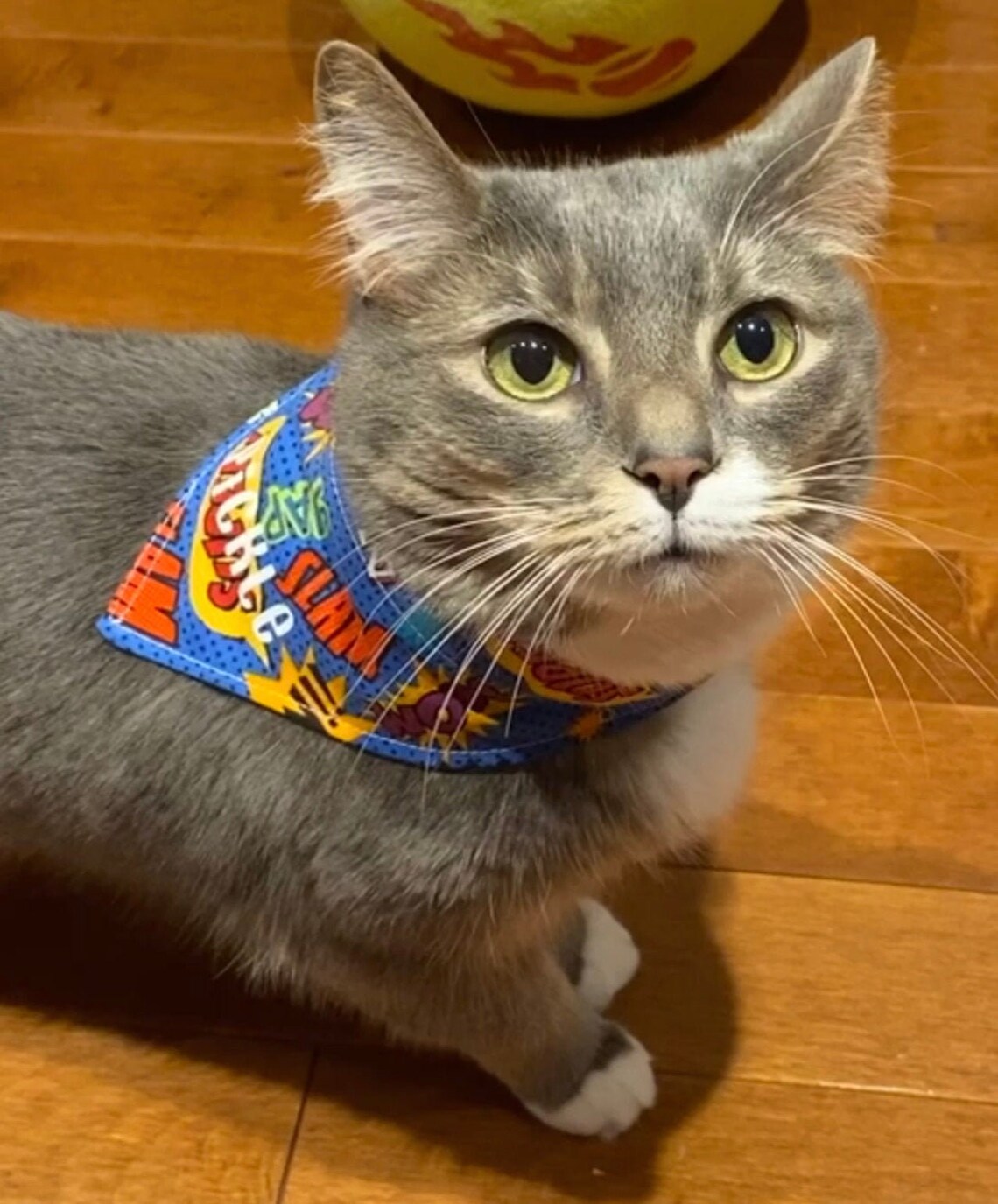 Personalized cat bandana Velcro on Adjustable fit Made by Etsy