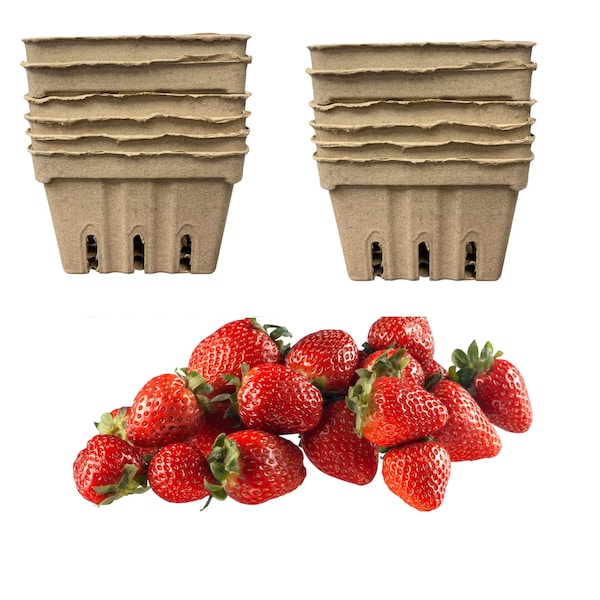 Farmers Market 12 pc Natural Berry Basket, Strawberry Baskets, 1 pint size recycled pulp