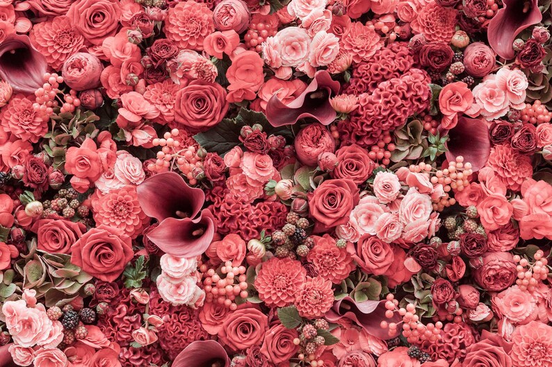 Pink Rose Flowers Wall Photo Backdrop Wedding Bridal Shower Etsy