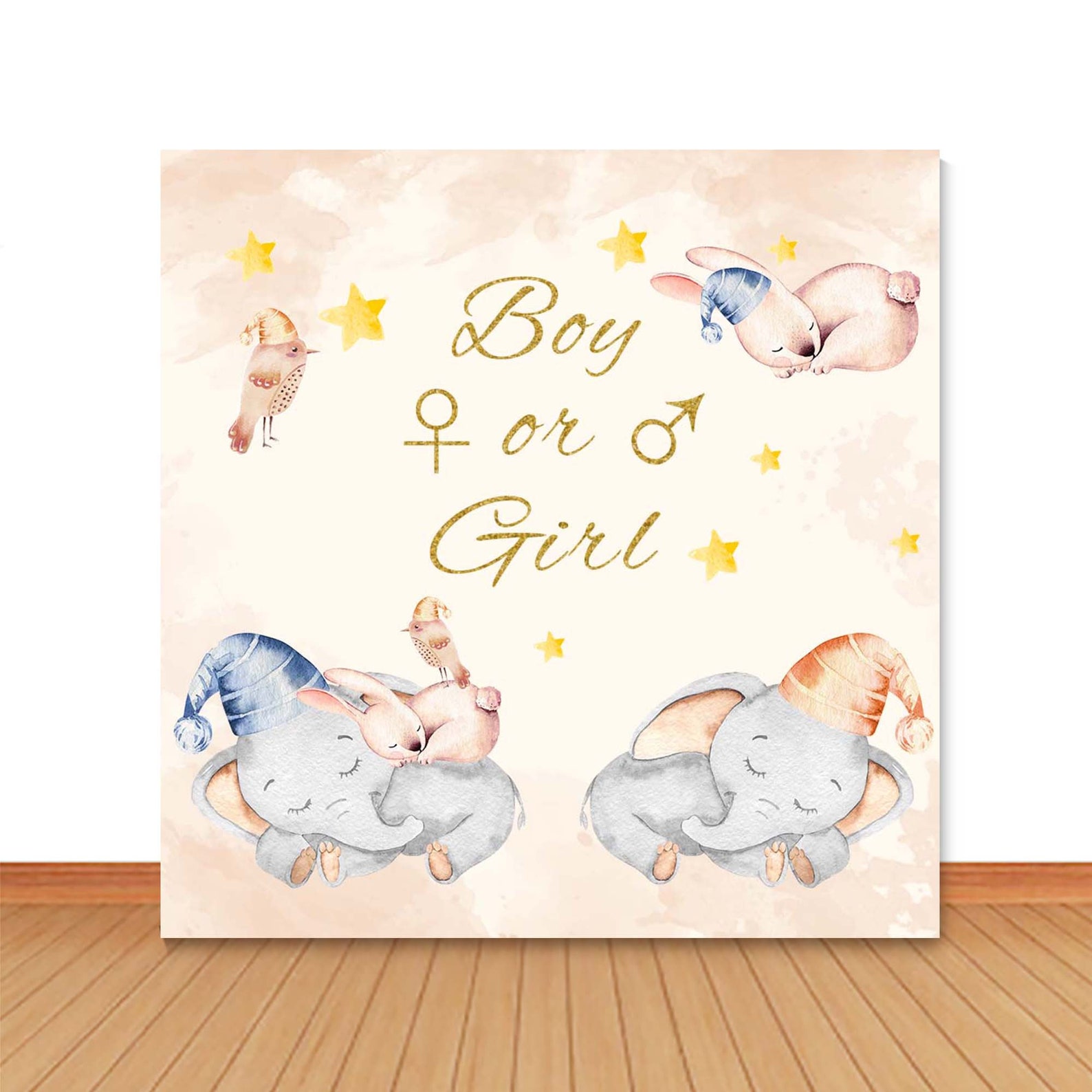 Cartoon Elephant Gender Reveal Photo Backdrop Kids 1st Etsy