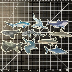 Shark Stickers // Thresher, Leopard, Blue, Great White, Pyjama, Hammerhead, Black Tip Reef, Dogfish, Basking, Shortfin Mako