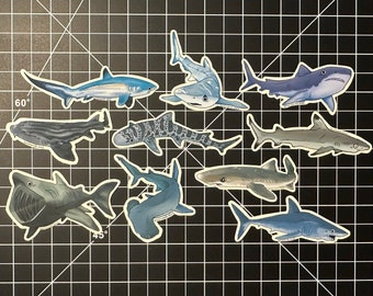 Shark Vinyl Sticker Set // Aesthetic Waterproof/Weatherproof Vinyl Sticker