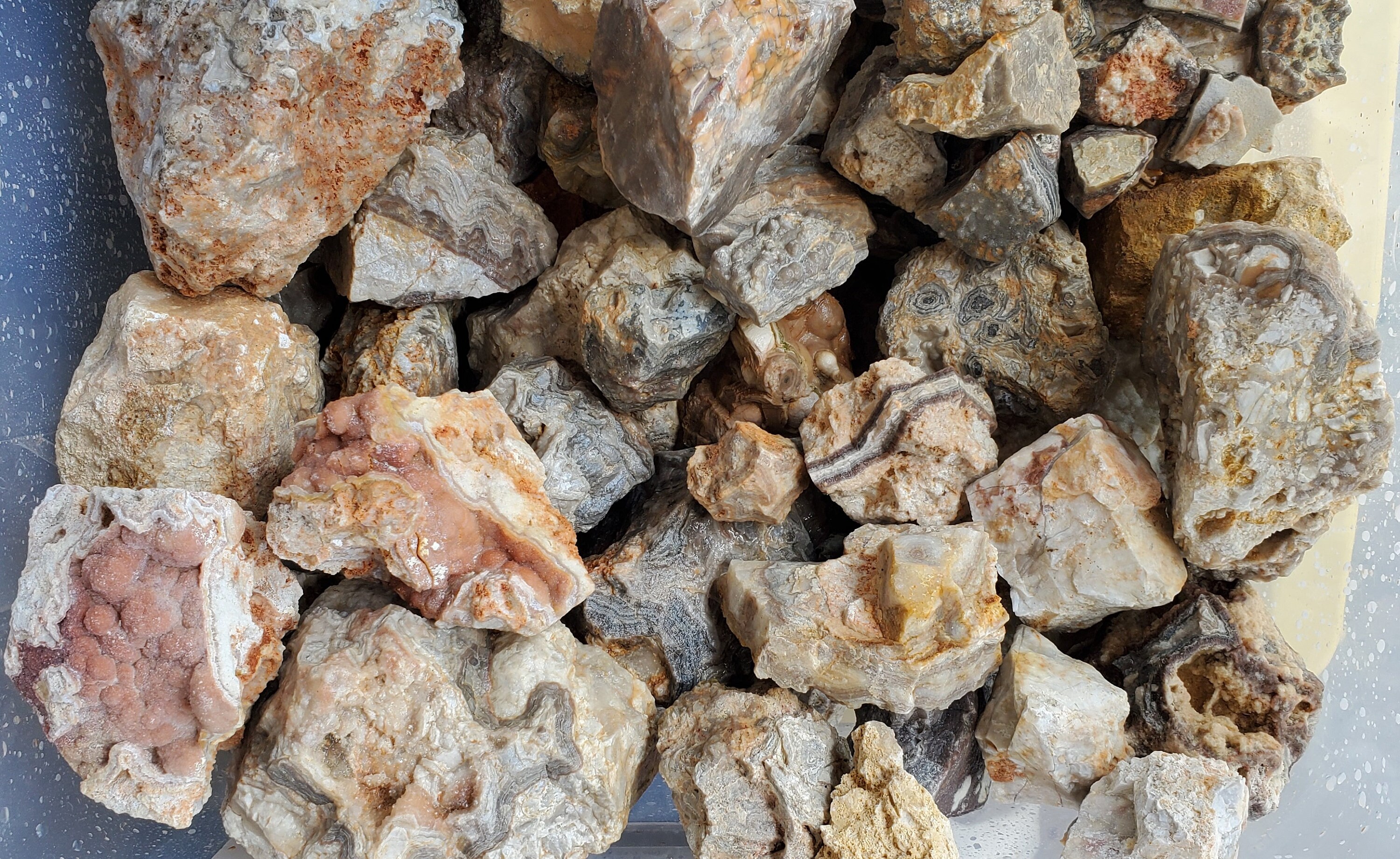 Crazy Lace Agate Collection: 10 Lb Georgia Stones for Lapidary