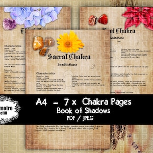 May include: Seven printable pages for a Book of Shadows, each page features a different chakra with its associated color, element, and affirmation. The pages are designed in a vintage style with watercolor illustrations and text.