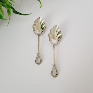 Puede incluir: Dos cucharas plateadas con cuencos en forma de hoja y mangos en forma de lágrima sobre un fondo blanco. Las cucharas están dispuestas verticalmente, con los cuencos hacia arriba. Un helecho es visible en la esquina superior izquierda.