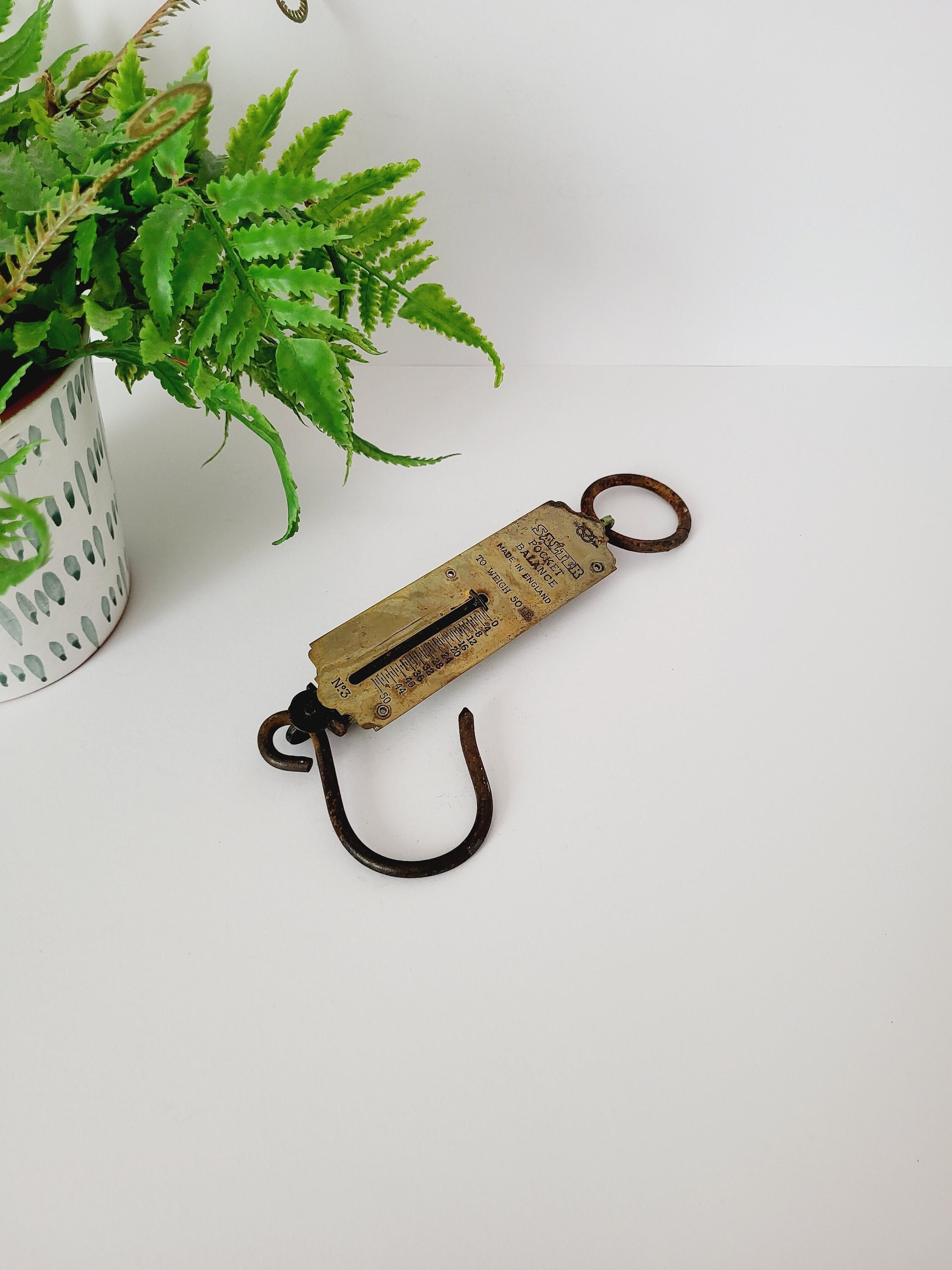 Salter 'Pocket Balance' Hanging Scales - British Made - Weighs up to 50lbs - 27 cm Length