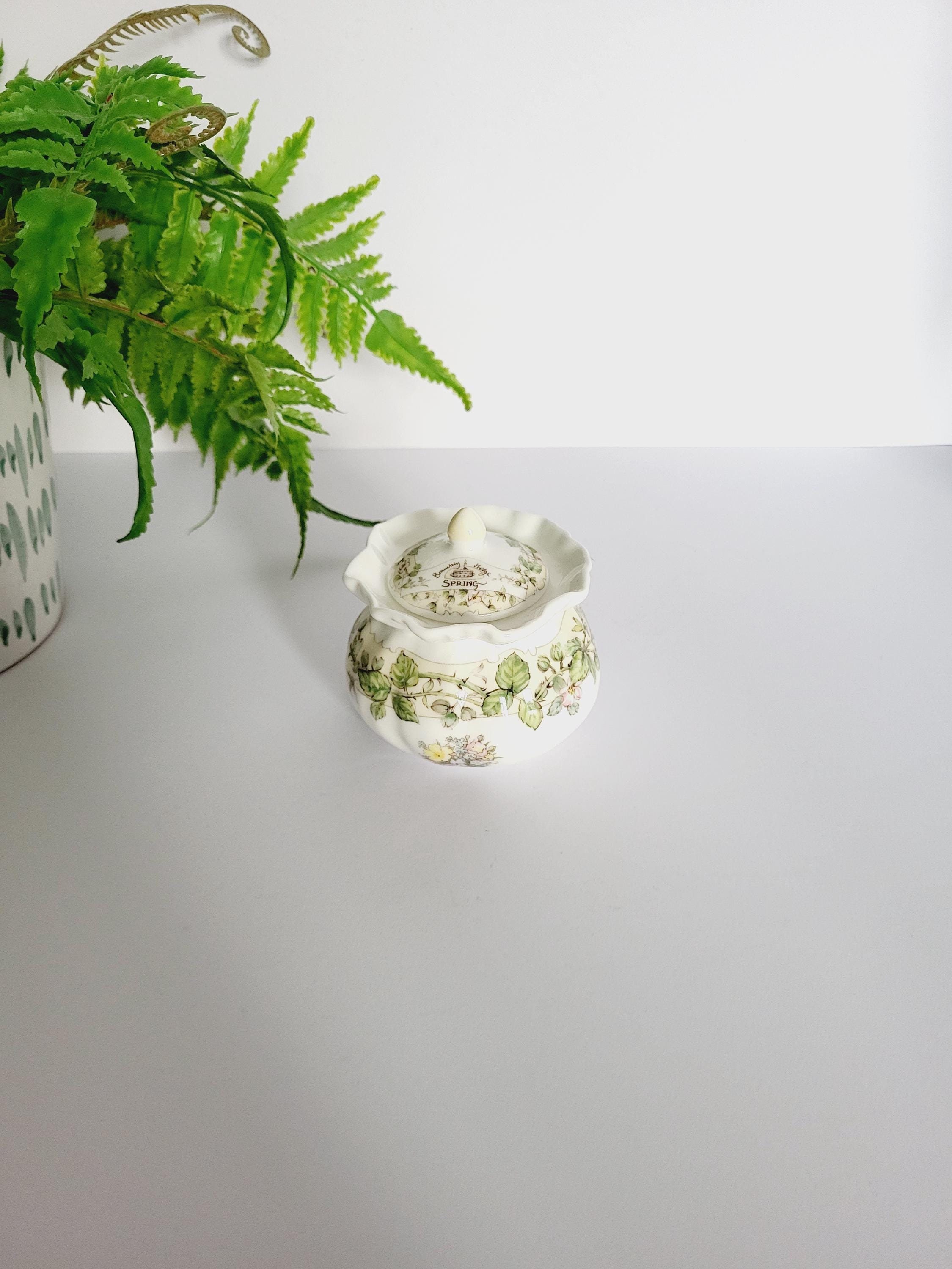   Brambly Hedge 花瓶 Brambly Hedge Vase - Etsy New Zealand