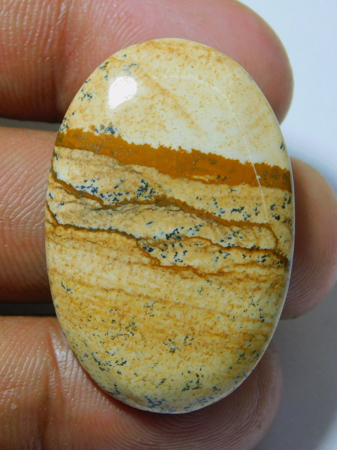 jasper polish jasper polish