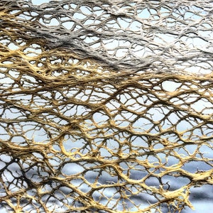 100mm x 50mm Cactus Skeleton Fibers - Botanical Craft Supplies Cactus Leaf - Electroforming gilding Prickly Pear Fibre - Cactus Wood -