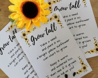 Grow your own sunflower seed gift, children's gardening gift,  eco friendly present, giant sunflower seeds, kids garden idea, plantable gift