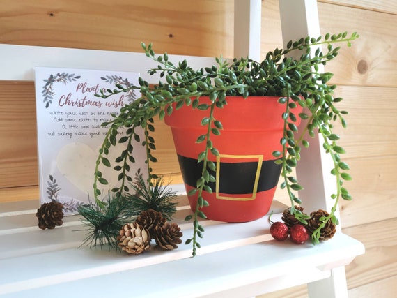 Christmas plant pot decorations Clearance