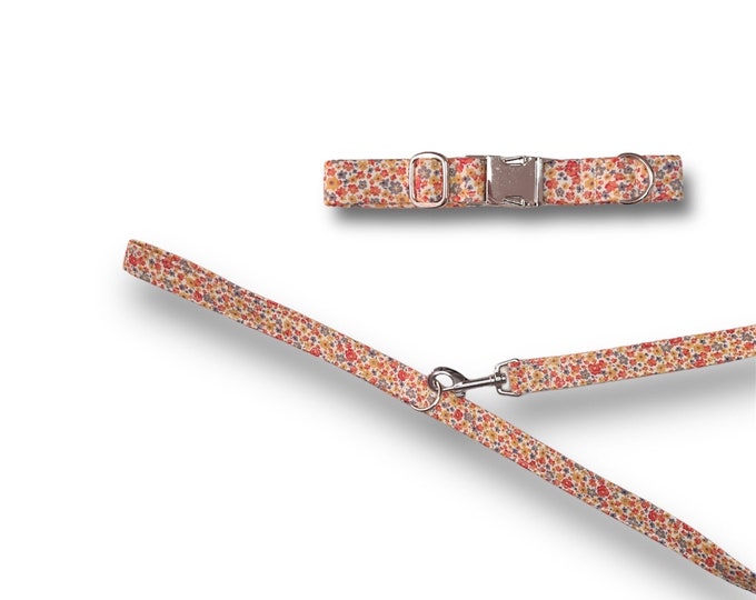 Orange Ditsy Dog collar/lead