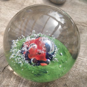 Paperweight filled with planet plankton
