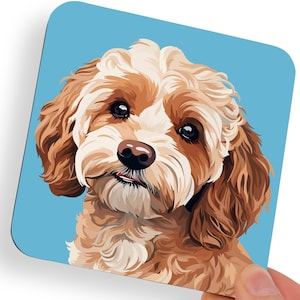 Op de afbeelding: Vierkante onderzetter met een illustratie van een Cavapoo-hond. De hond heeft bruin en wit haar, een bruine neus en donkere ogen. De achtergrond is lichtblauw. De onderzetter wordt door een hand vastgehouden.