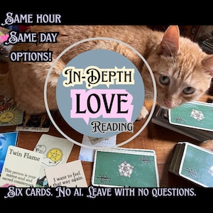 May include: An orange tabby cat positioned behind a spread of tarot cards. Text overlays read: SAME HOUR SAME DAY OPTIONS! IN-DEPTH LOVE READING. TWIN FLAME. I WANT TO FEEL THAT WAY AGAIN. SIX CARDS. NO AI. LEAVE WITH NO QUESTIONS.