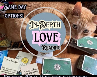 May include: An orange tabby cat positioned behind a spread of tarot cards. Text overlays read: SAME HOUR SAME DAY OPTIONS! IN-DEPTH LOVE READING. TWIN FLAME. I WANT TO FEEL THAT WAY AGAIN. SIX CARDS. NO AI. LEAVE WITH NO QUESTIONS.