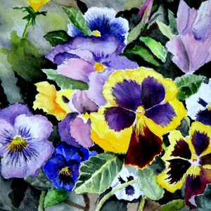 Pansy Posey (Carte de voeux)