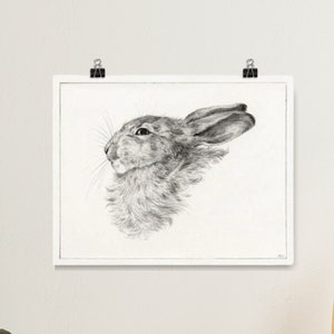 A vintage rabbit head drawing illustration, vintage farmhouse decor.