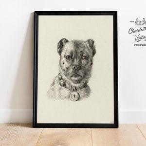 Vintage Dog Portrait Dog Drawing Dog Graphic Dog Owner Gift Antique Dog Portrait Vintage Pet Portrait Antique Pet Poster zdjęcie 1