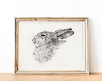 Vintage Rabbit Poster | Rabbit Print | Vintage Farmhouse Decor | Shabby chic | Kids’ room wall decor | Country home Nursery decor 6 Sizes