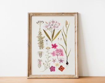 Spring Wildflowers Poster | Vintage Botanical Print | Antique Floral Art | Spring Wall Decor | Pink Flowers| Cottagecore Gift | Rustic Decor