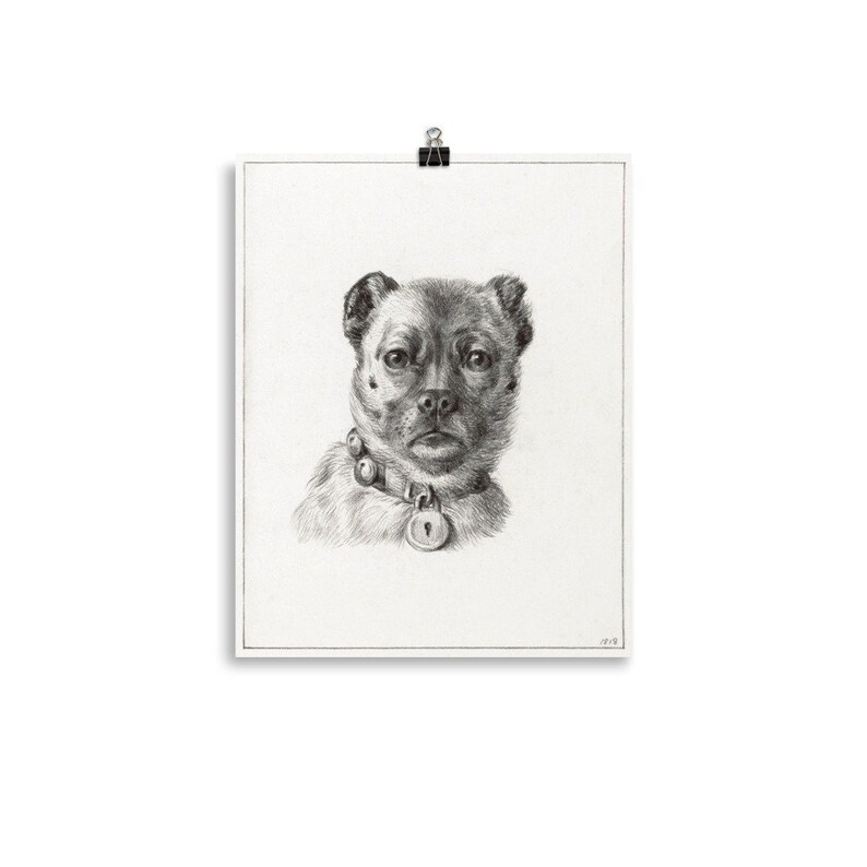 Vintage Dog Portrait Dog Drawing Dog Graphic Dog Owner Gift Antique Dog Portrait Vintage Pet Portrait Antique Pet Poster zdjęcie 2