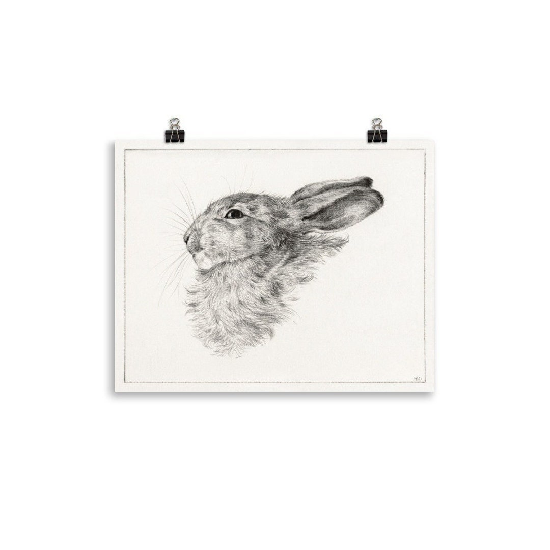 Vintage Rabbit Poster Rabbit Print Vintage Farmhouse Decor Etsy