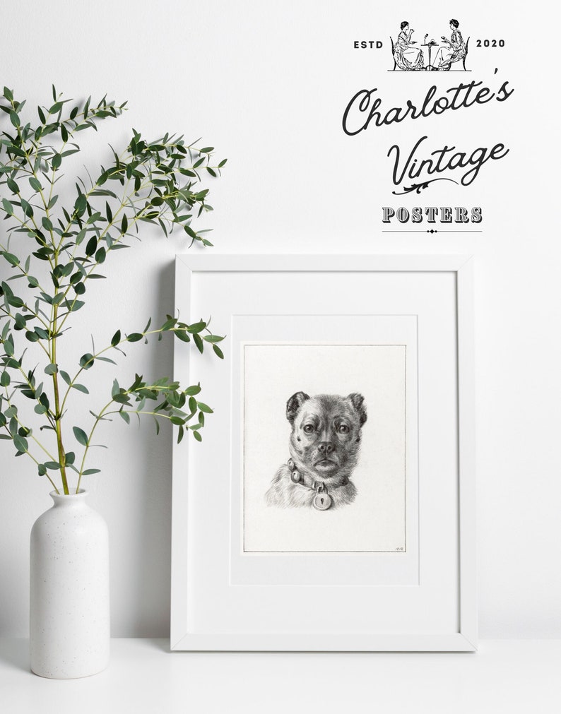 Vintage Dog Portrait Dog Drawing Dog Graphic Dog Owner Gift Antique Dog Portrait Vintage Pet Portrait Antique Pet Poster zdjęcie 3