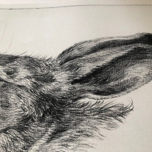 A closeup of a vintage rabbit head drawing illustration, vintage farmhouse decor.