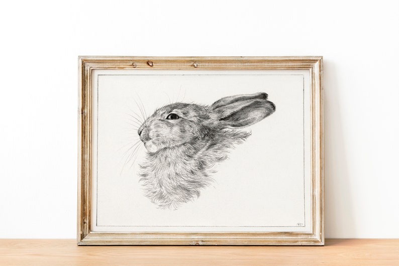 Vintage Rabbit Poster Rabbit Print Vintage Farmhouse Decor Shabby chic Kids room wall decor Country home Nursery decor 6 Sizes zdjęcie 1