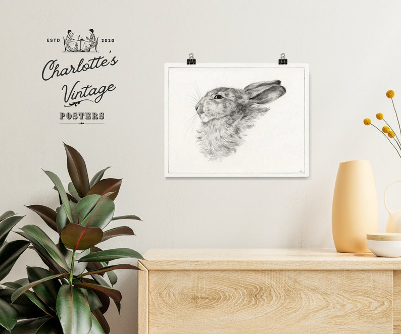 A vintage rabbit head drawing illustration, vintage farmhouse decor.