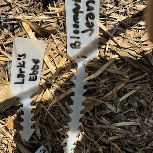 May include: Two white plastic plant markers with black marker writing. The top marker says "Bloomquist Green" and the bottom marker says "Lark's Ebba".