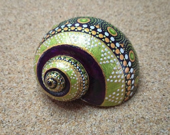 Green Sea Snail Shell