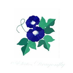Morning Glories -2 Sizes and Variations -Machine Embroidery Design