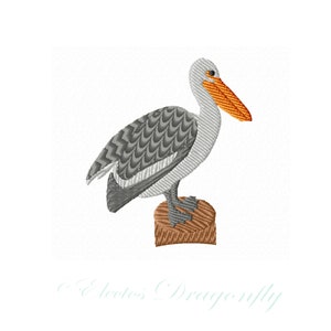 May include: A grey and white pelican with an orange beak standing on a brown log. The pelican is facing to the right.