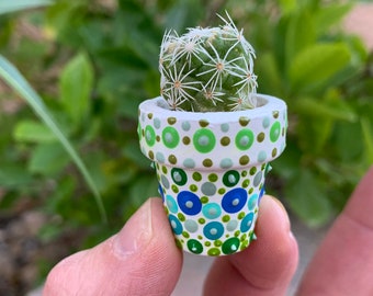 Micro Mini Thimble Cactus - Etsy