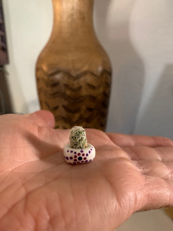 Micro-Mini Thimble Cactus in Hand Painted Clay Pot