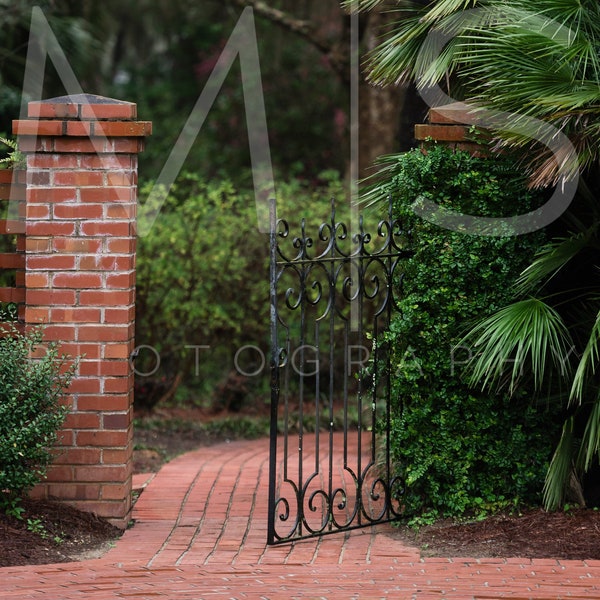 Secret Garden Gate Brick Pathway with Palms- Digital Background/Backdrop for Photographer Composites