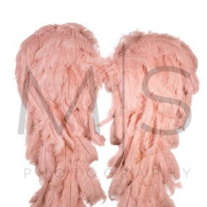 Digital Overlay Only - Blush Pink/ Champagne Angel Wings Digital Background/Backdrop Bundle for Photographer Composites