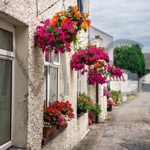 3 Pack Flower Alley High Resolution Digital Alley Flowers Pathway Background Backdrop Collection Photographers Floral Alley Backdrop