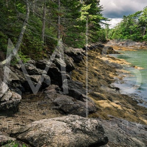 May include: A rocky shoreline with green water in the background. The rocks are covered in seaweed and moss. The water is calm and clear.