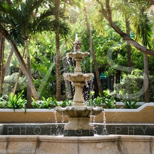 May include: A white stone fountain with three tiers, surrounded by lush green tropical plants. Water flows from the top tier, creating a cascading effect.