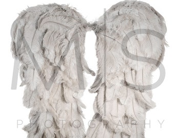 Digital Overlay Only - White Angel Wings Digital Background/Backdrop Bundle for Photographer Composites