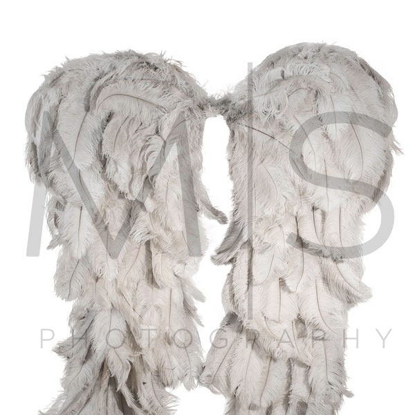 Digital Overlay Only - White Angel Wings Digital Background/Backdrop Bundle for Photographer Composites