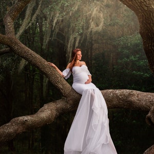 Huge Oak Tree Branch Digital Background/Backdrop for Photographer Composites- Dramatic Forest