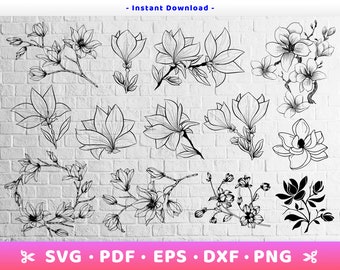 Download Magnolia Flower Svg Etsy